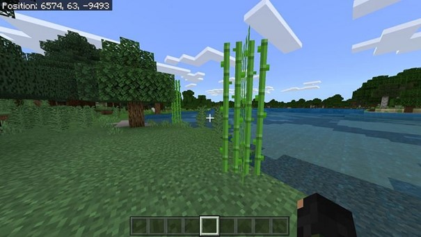 Minecraft Şeker Nasıl Üretilir?