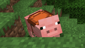 Minecraft Eyer Yapımı