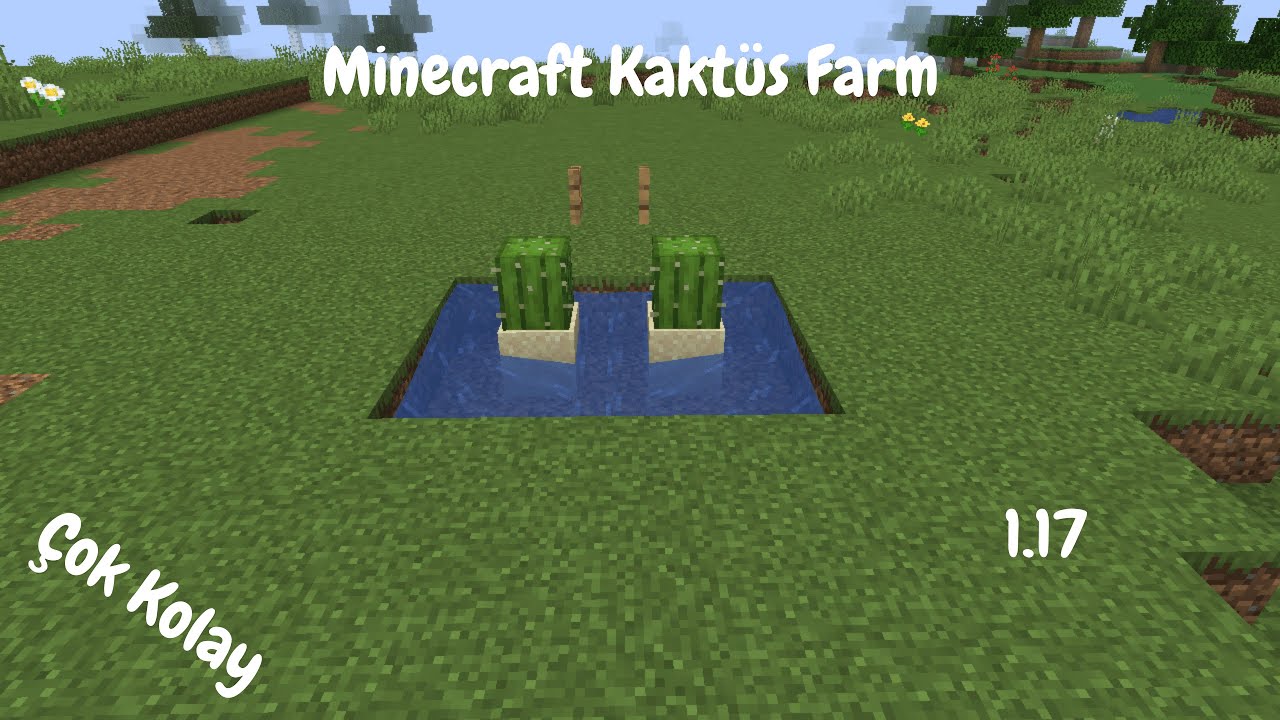 Minecraft kaktüs